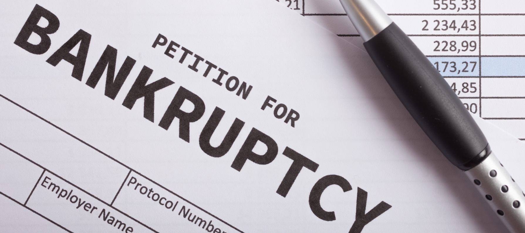 Petition For Bankruptcy - Meredith Law Firm, LLC - Chapter 7 Bankruptcy - Myrtle Beach, S.C.